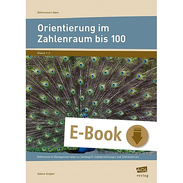 Orientierung im Zahlenraum bis 100 / Differenziert üben - Grundschule, Sabine Gutjahr