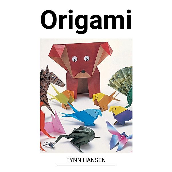 Origami, Fynn Hansen