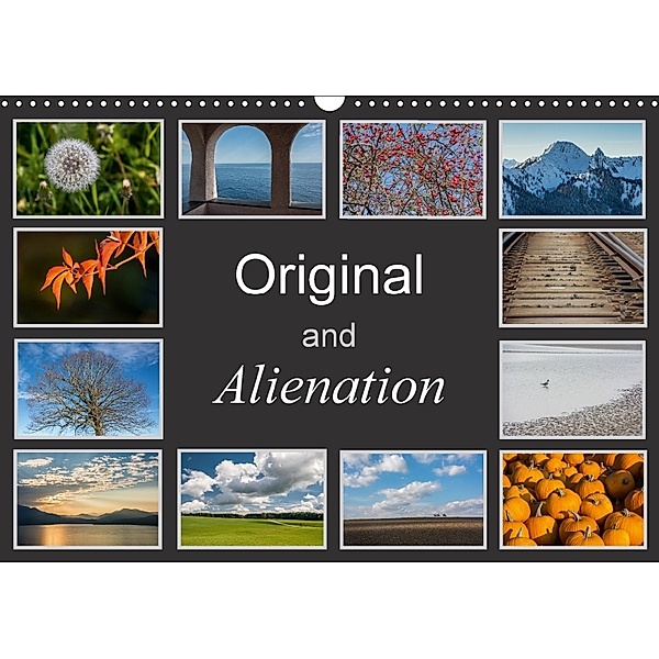 Original and Alienation (Wall Calendar 2018 DIN A3 Landscape), Hans Seidl