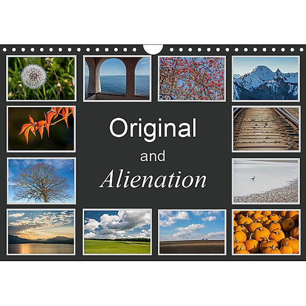 Original and Alienation (Wall Calendar 2019 DIN A4 Landscape), Hans Seidl