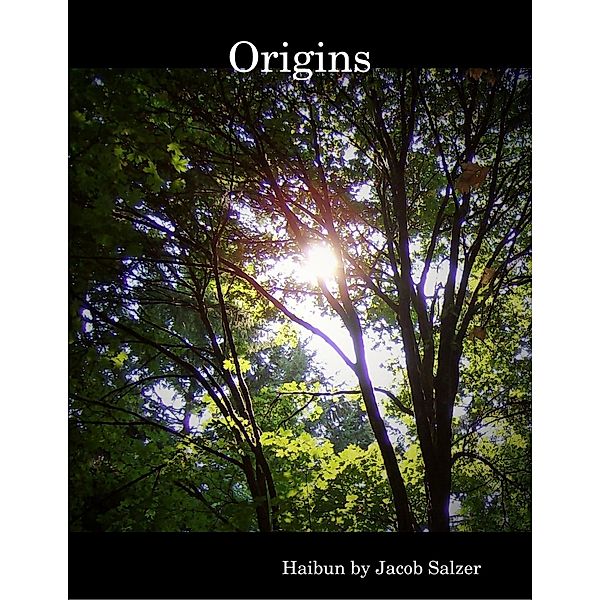 Origins, Jacob Salzer