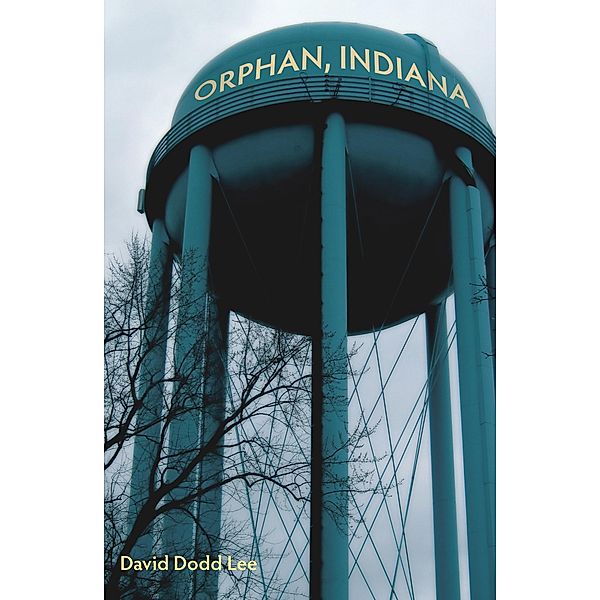 Orphan, Indiana / Akron Series in Poetry, David Dodd Lee
