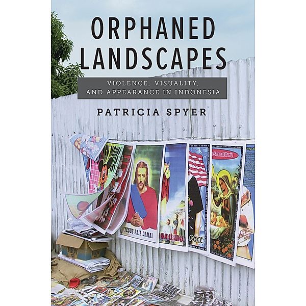 Orphaned Landscapes, Patricia Spyer