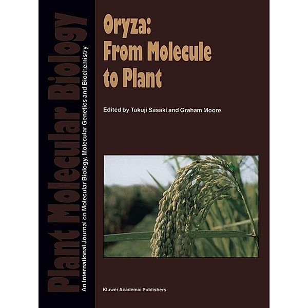 Oryza: From Molecule to Plant