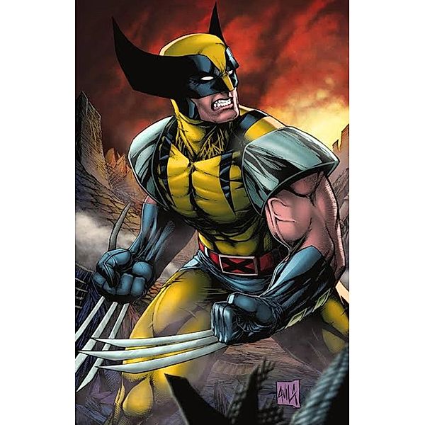 Os Segredos de Wolverine, Danniel Silva