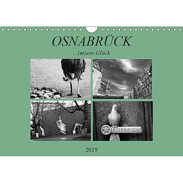 Osnabrück ...(m)ein Glück (Wandkalender 2019 DIN A4 quer), Schlosswiese