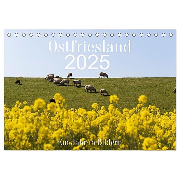 Ostfriesland - Ein Jahr in Bildern (Tischkalender 2025 DIN A5 quer), CALVENDO Monatskalender, Calvendo, Heidi Bollich