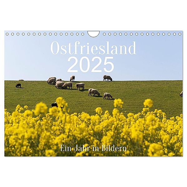 Ostfriesland - Ein Jahr in Bildern (Wandkalender 2025 DIN A4 quer), CALVENDO Monatskalender, Calvendo, Heidi Bollich