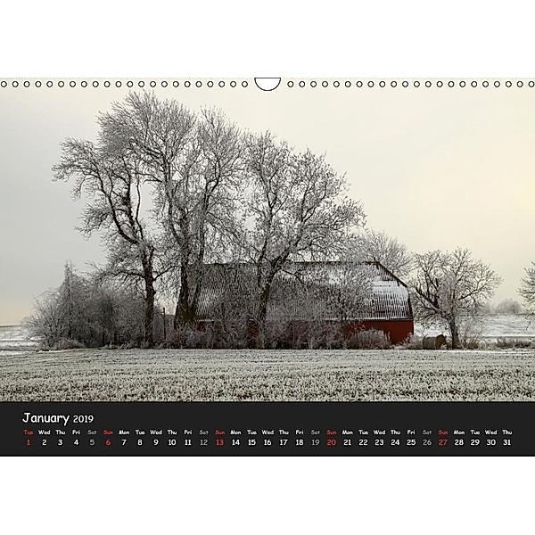 Ostfriesland - Land on the coast / UK-Version (Wall Calendar 2019 DIN A3 Landscape), rolf pötsch