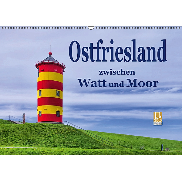 Ostfriesland - zwischen Watt und Moor (Wandkalender 2019 DIN A2 quer), LianeM