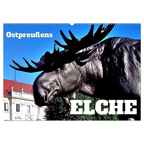 Ostpreußens Elche (Wandkalender 2024 DIN A2 quer), CALVENDO Monatskalender, Henning von Löwis of Menar
