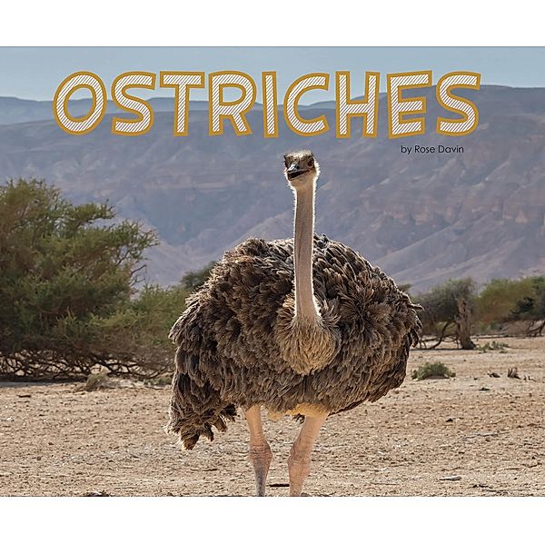 Ostriches / Raintree Publishers, Rose Davin