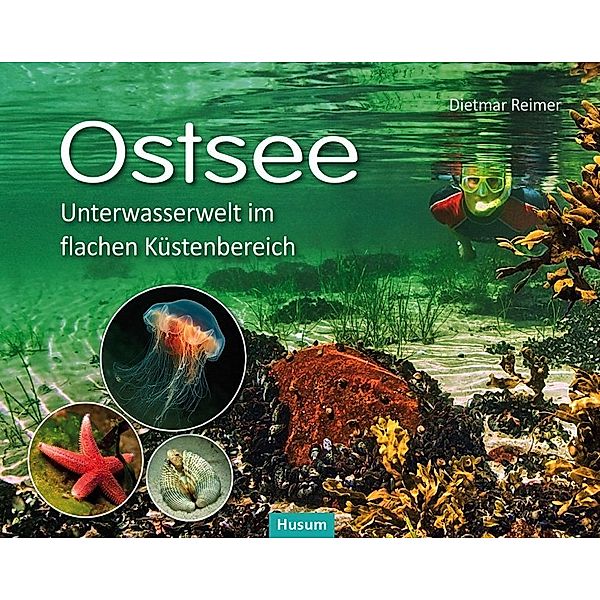 Ostsee, Dietmar Reimer