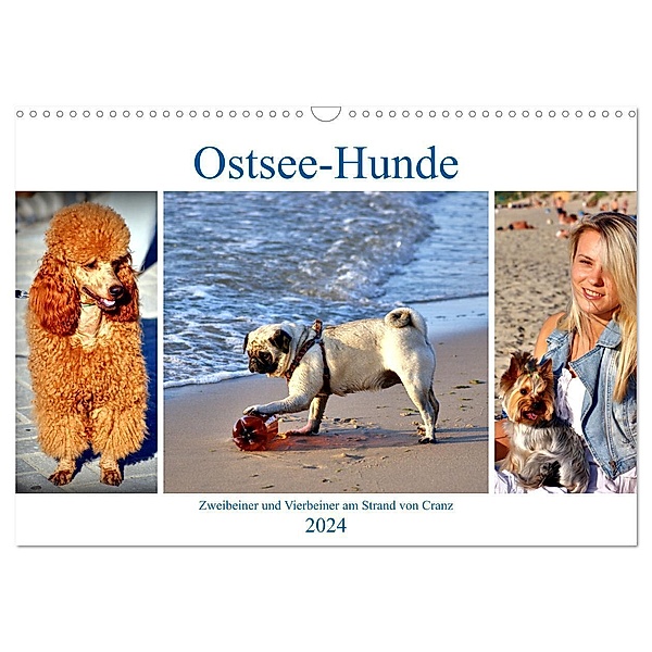 Ostsee-Hunde - Zweibeiner und Vierbeiner am Strand von Cranz (Wandkalender 2024 DIN A3 quer), CALVENDO Monatskalender, Henning von Löwis of Menar