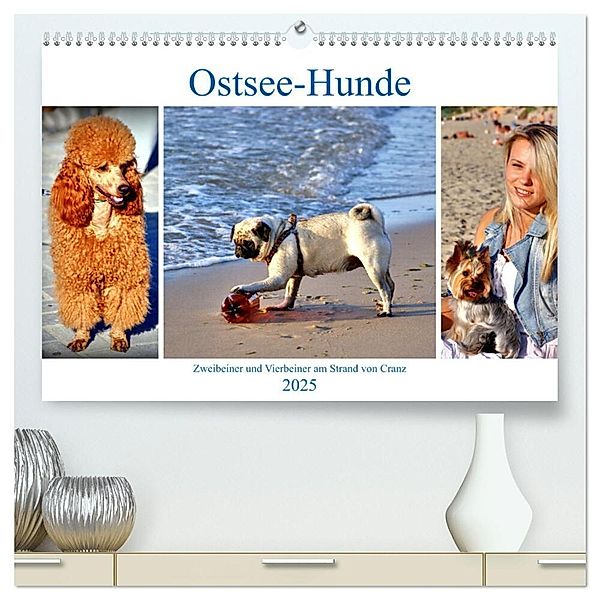 Ostsee-Hunde - Zweibeiner und Vierbeiner am Strand von Cranz (hochwertiger Premium Wandkalender 2025 DIN A2 quer), Kunstdruck in Hochglanz, Calvendo, Henning von Löwis of Menar