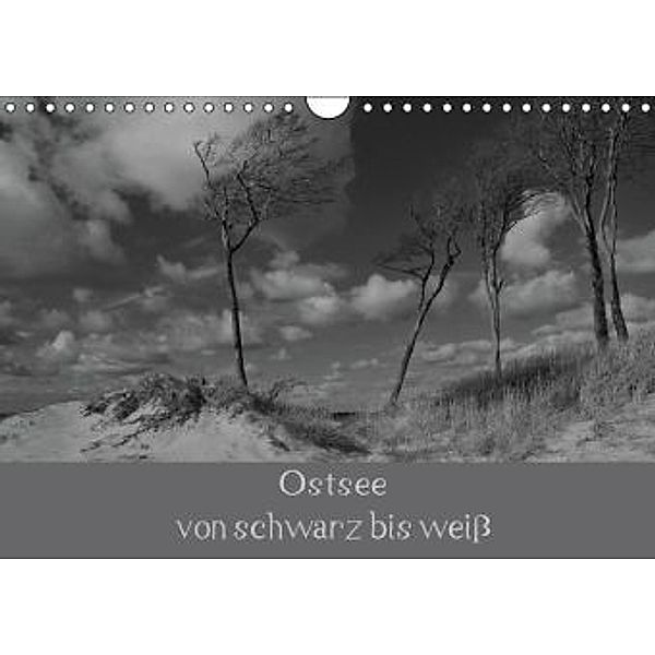 Ostsee - von schwarz bis weiß (Wandkalender 2016 DIN A4 quer), Uwe Becker
