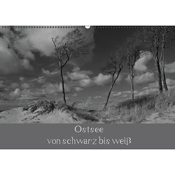 Ostsee - von schwarz bis weiß (Wandkalender 2016 DIN A2 quer), Uwe Becker