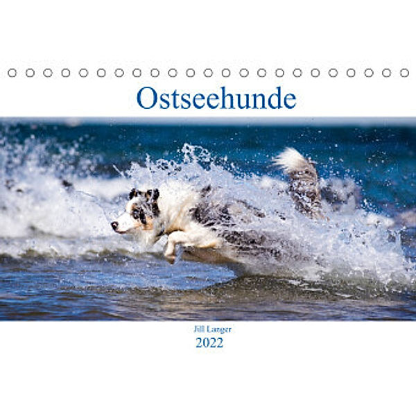 Ostseehunde (Tischkalender 2022 DIN A5 quer), Jill Langer