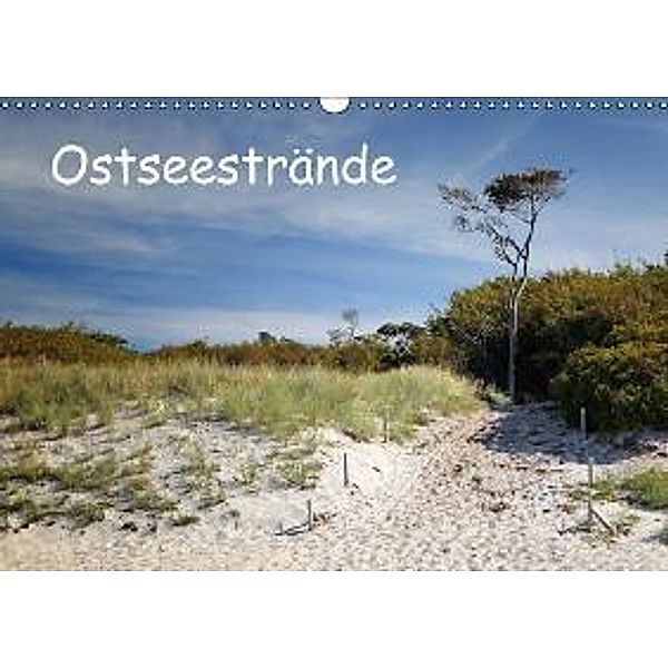 Ostseestrände (Wandkalender 2015 DIN A3 quer), Thomas Deter