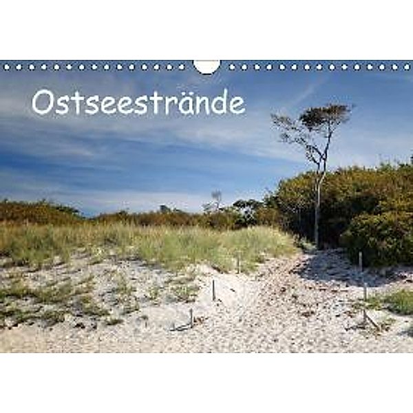 Ostseestrände (Wandkalender 2015 DIN A4 quer), Thomas Deter