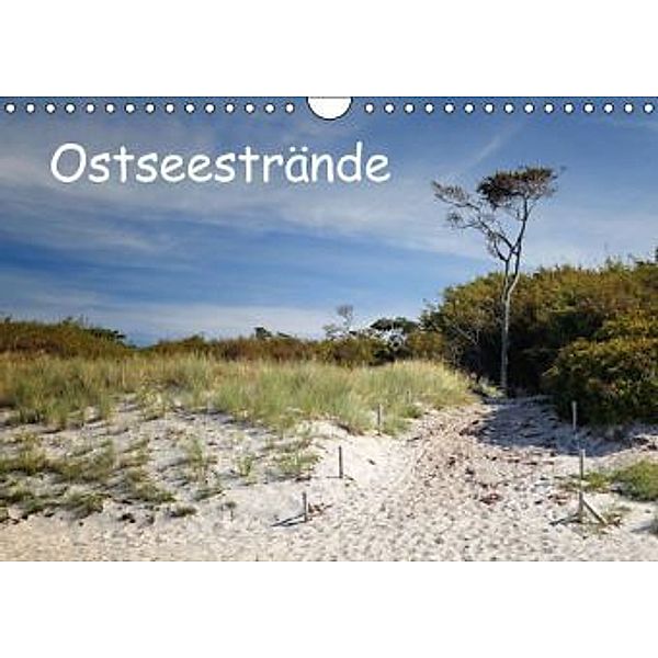 Ostseestrände (Wandkalender 2016 DIN A4 quer), Thomas Deter