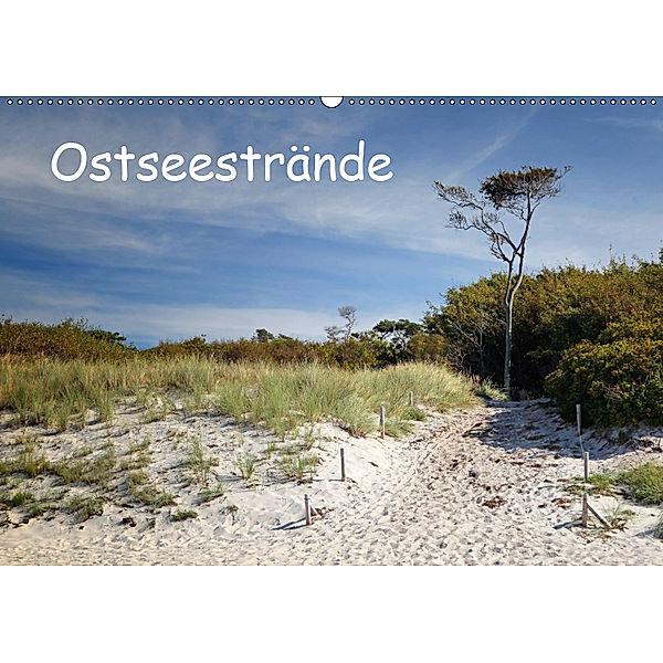 Ostseestrände (Wandkalender 2019 DIN A2 quer), Thomas Deter