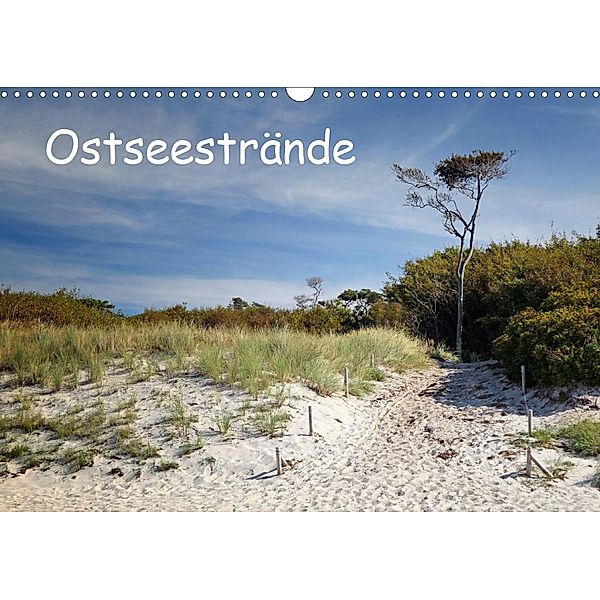 Ostseestrände (Wandkalender 2020 DIN A3 quer), Thomas Deter