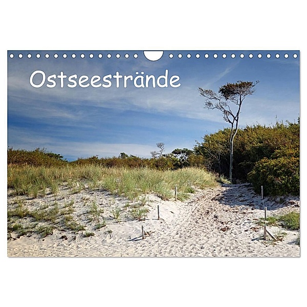 Ostseestrände (Wandkalender 2024 DIN A4 quer), CALVENDO Monatskalender, Thomas Deter