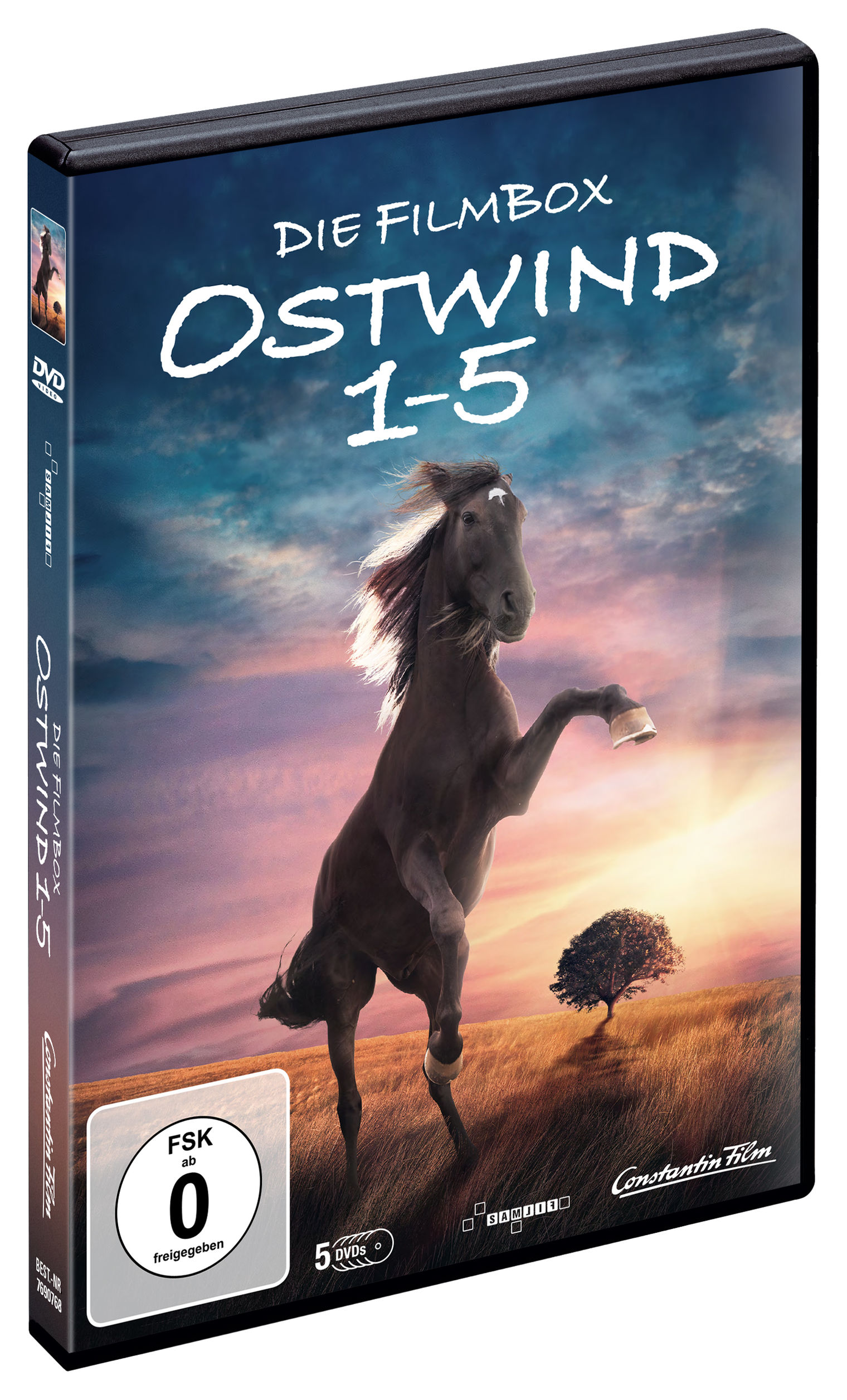 Ostwind 1-5 Box DVD jetzt bei Weltbild.at online bestellen