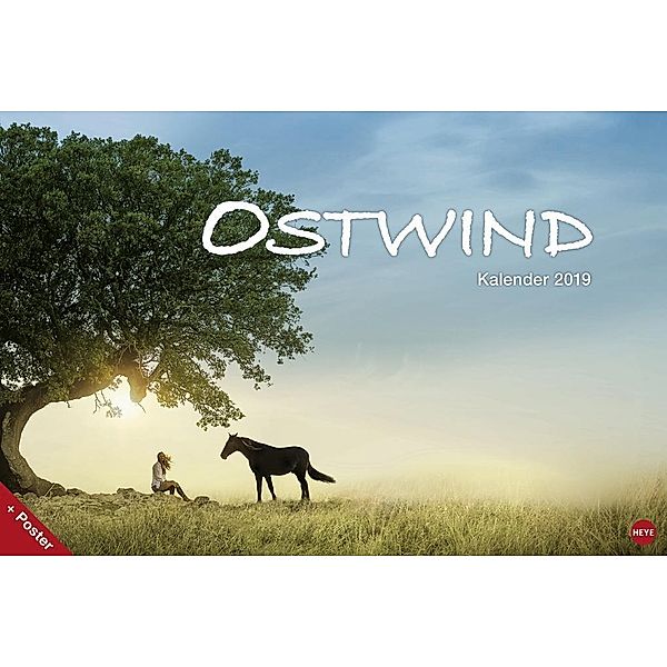 Ostwind Broschur XL 2019