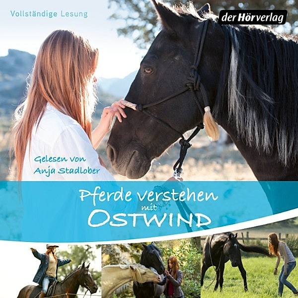 Ostwind Sachbücher - 1 - Pferde verstehen mit Ostwind, Almut Schmidt