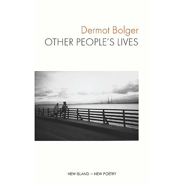 Other People's Lives, Dermot Bolger