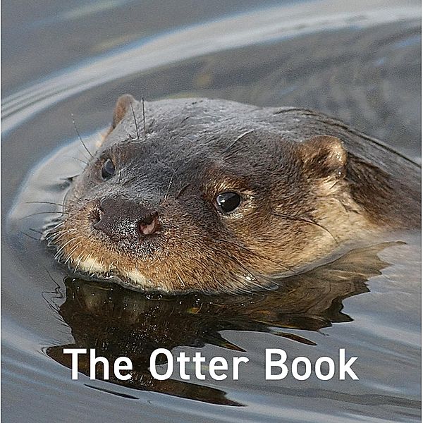 Otter Book / Graffeg Limited, Jo Byrne