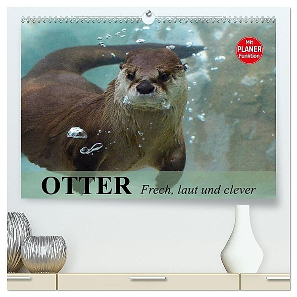 Otter. Frech, laut und clever (hochwertiger Premium Wandkalender 2024 DIN A2 quer), Kunstdruck in Hochglanz, Elisabeth Stanzer