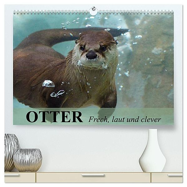 Otter. Frech, laut und clever (hochwertiger Premium Wandkalender 2025 DIN A2 quer), Kunstdruck in Hochglanz, Calvendo, Elisabeth Stanzer