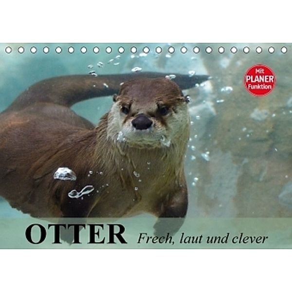 Otter. Frech, laut und clever (Tischkalender 2017 DIN A5 quer), Elisabeth Stanzer