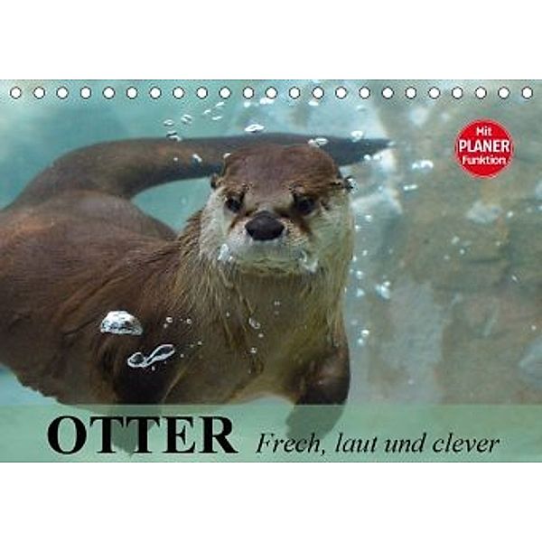 Otter. Frech, laut und clever (Tischkalender 2020 DIN A5 quer), Elisabeth Stanzer