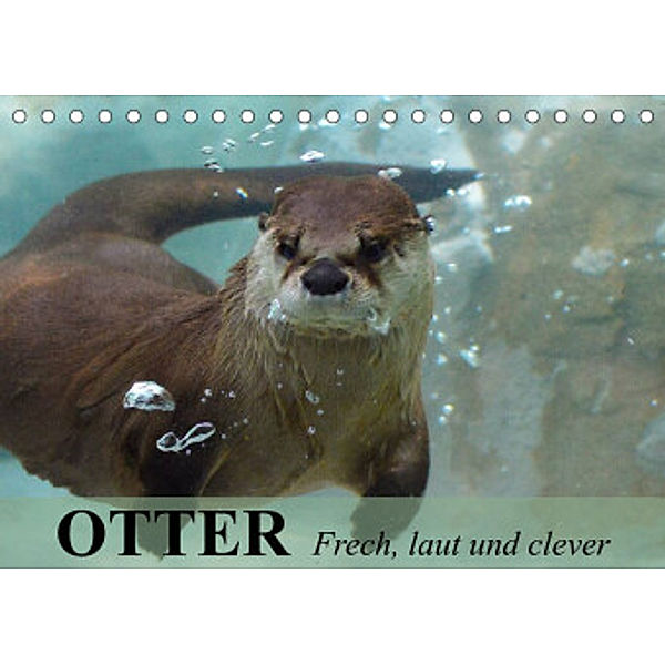 Otter. Frech, laut und clever (Tischkalender 2022 DIN A5 quer), Elisabeth Stanzer