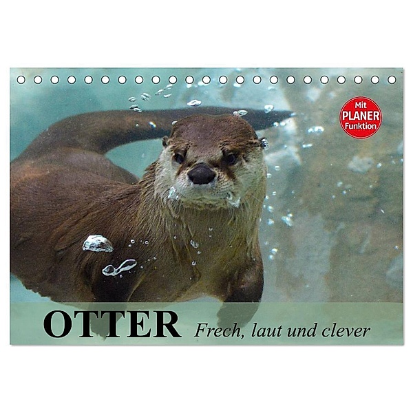 Otter. Frech, laut und clever (Tischkalender 2024 DIN A5 quer), CALVENDO Monatskalender, Elisabeth Stanzer