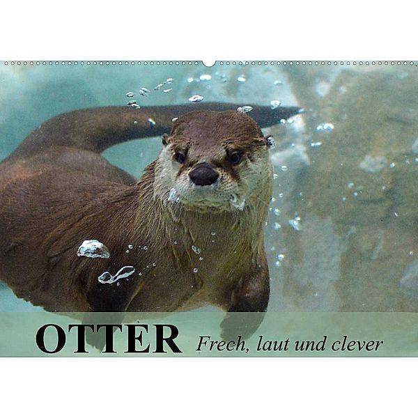 Otter. Frech, laut und clever (Wandkalender 2023 DIN A2 quer), Elisabeth Stanzer