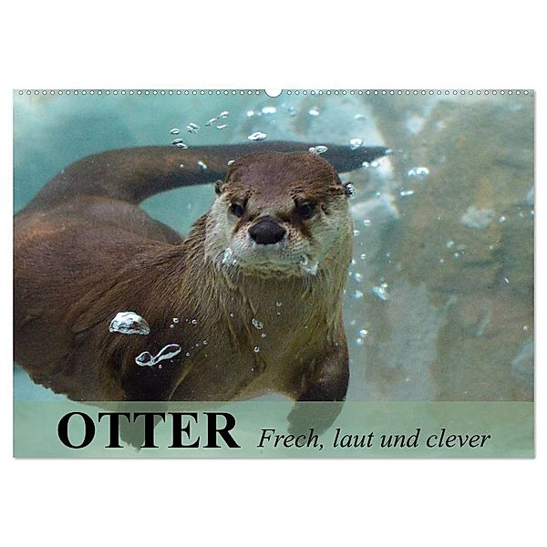 Otter. Frech, laut und clever (Wandkalender 2024 DIN A2 quer), CALVENDO Monatskalender, Elisabeth Stanzer