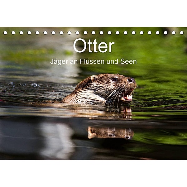 Otter - Jäger an Flüssen und Seen (Tischkalender 2023 DIN A5 quer), Cloudtail the Snow Leopard