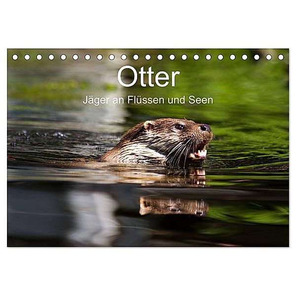 Otter - Jäger an Flüssen und Seen (Tischkalender 2024 DIN A5 quer), CALVENDO Monatskalender, Cloudtail the Snow Leopard