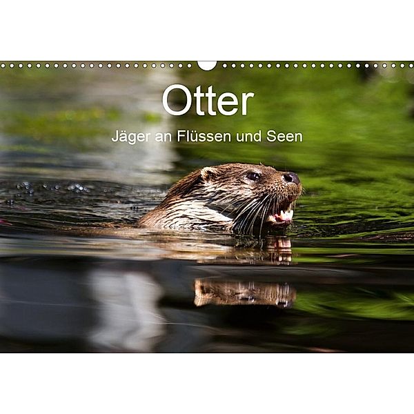 Otter - Jäger an Flüssen und Seen (Wandkalender 2020 DIN A3 quer), Cloudtail the Snow Leopard