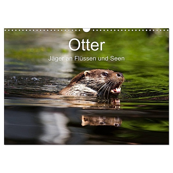 Otter - Jäger an Flüssen und Seen (Wandkalender 2024 DIN A3 quer), CALVENDO Monatskalender, Cloudtail the Snow Leopard
