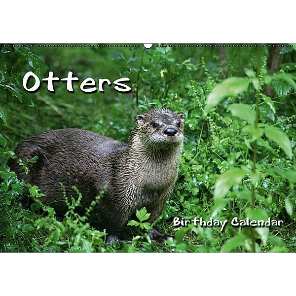 Otters / UK-Version / Birthday Calendar (Wall Calendar perpetual DIN A2 Landscape), Martina Berg