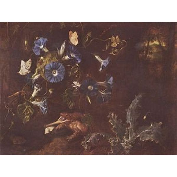 Otto Marseus van Schrieck - Blaue Winde, Kröte und Insekten - 2.000 Teile (Puzzle)