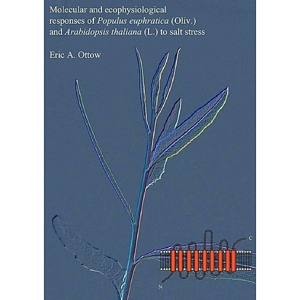 Ottow, E: Molecular and ecophysiological responses of Populu, Eric Aart Ottow