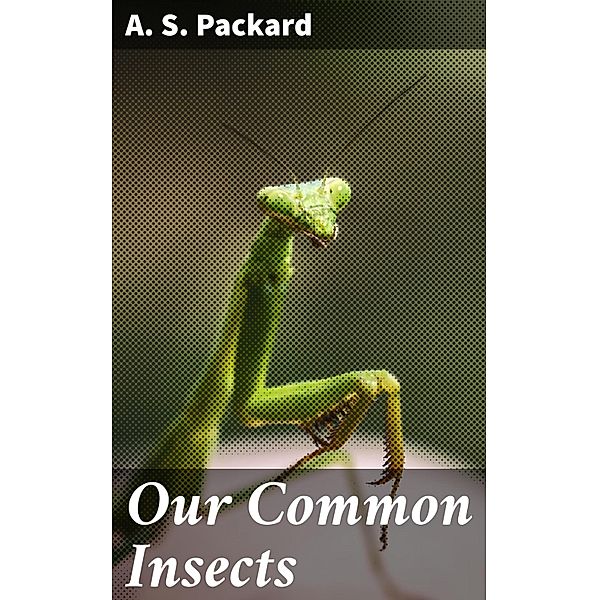 Our Common Insects, A. S. Packard