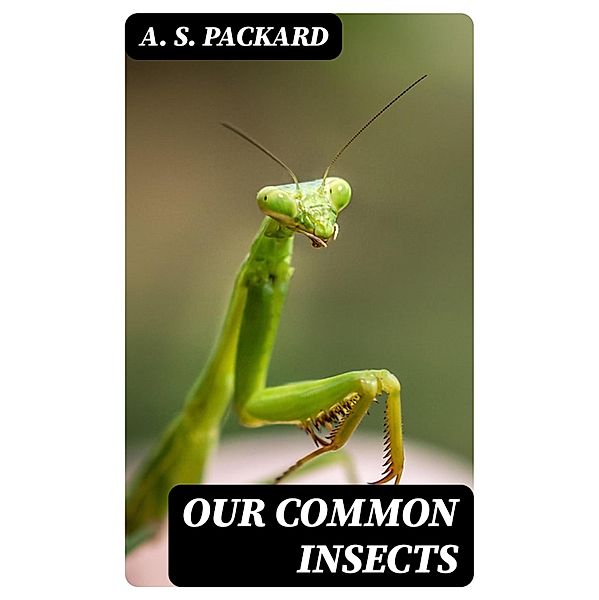 Our Common Insects, A. S. Packard